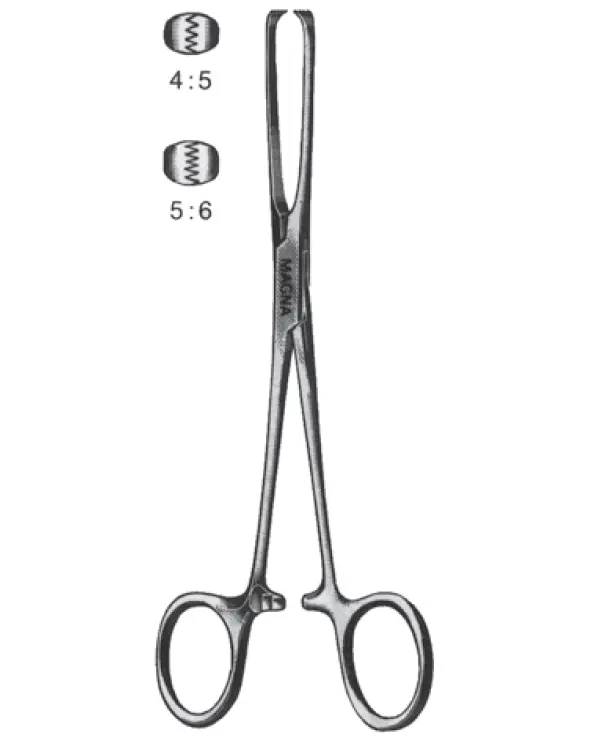 Allis Tissue Forceps – 19 Cm (7.5 Inches), 5X6 Tooth Ratchet Design, Non-Sterile 1