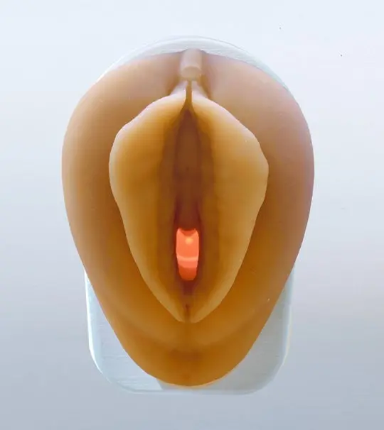 Anatomically Accurate Vulva & Vaginal Canal Teaching Model 1