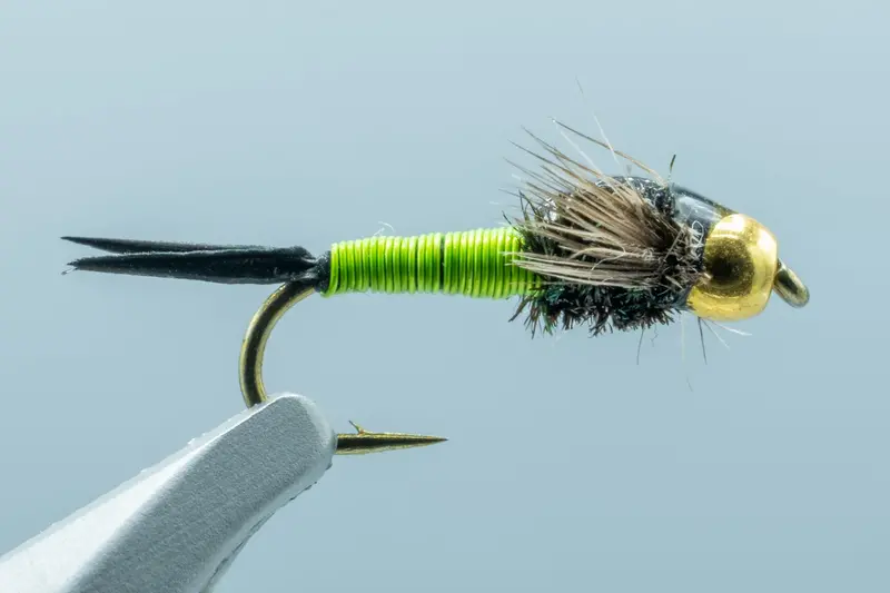 Chartreuse Copper John Nymph #16 1
