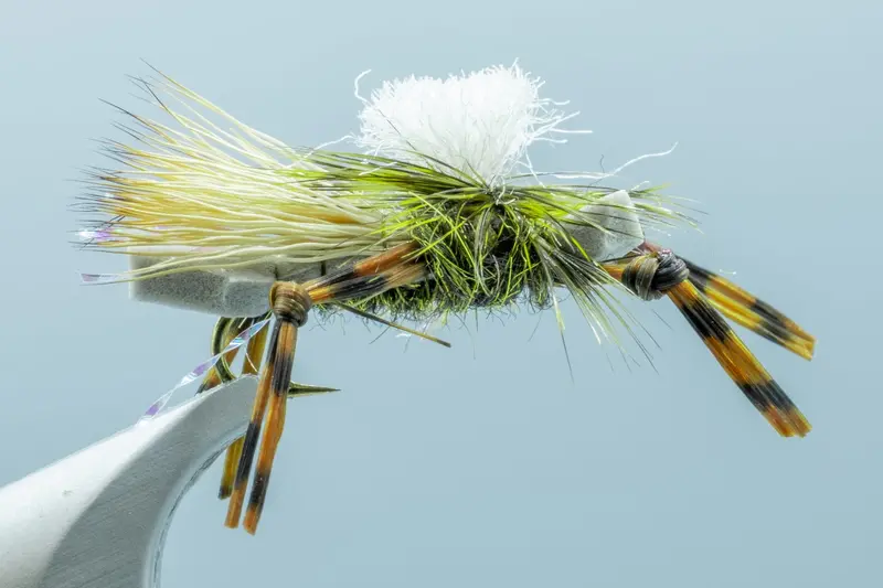 Foam Pmx Fly Box – Olive #12 Size 1