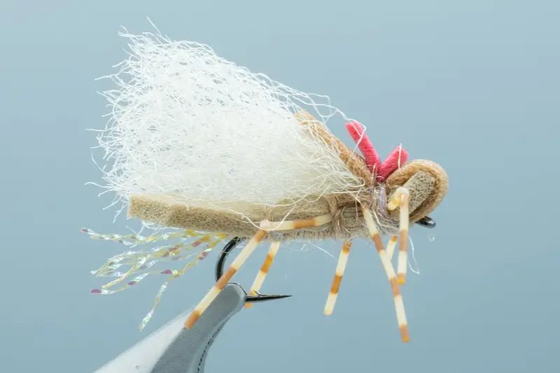Fool'S Gold Brown And Tan Steelhead Fly #12 1