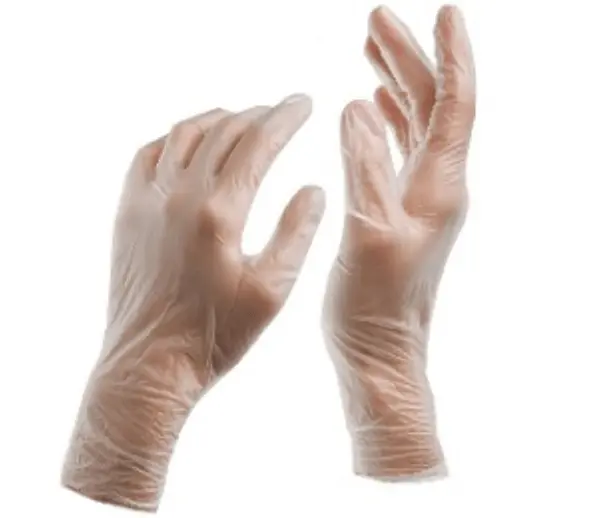 Latex-Free Pre-Powdered Vinyl Examination Gloves 1