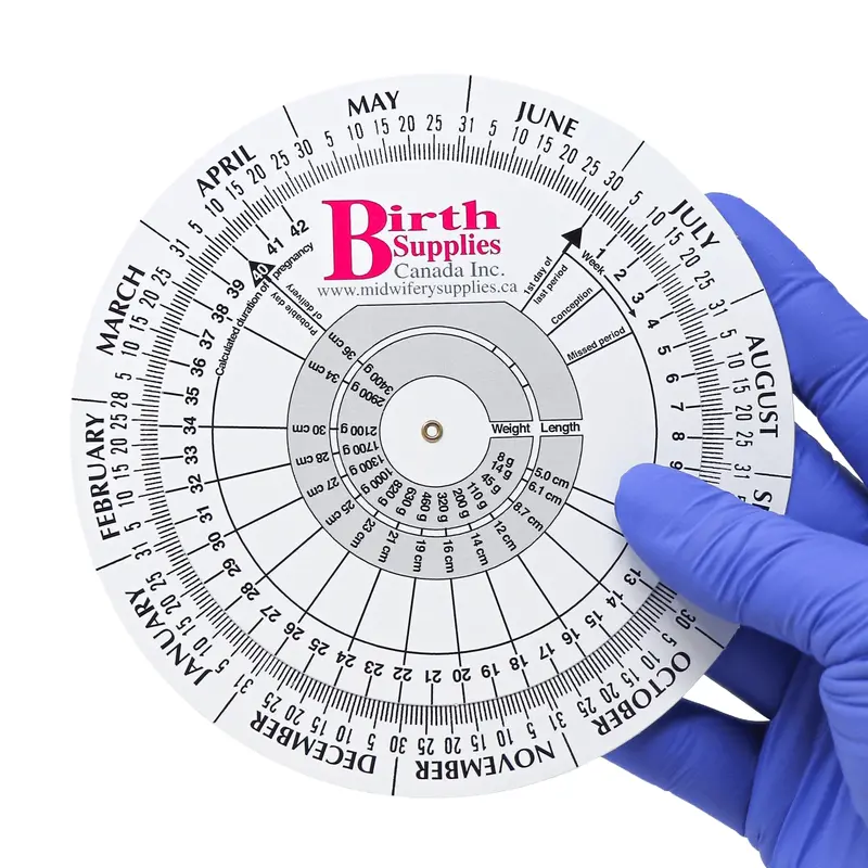 Pregnancy Due Date Wheel Calculator – 5-Inch Gestational Age Tracker (Bsc Brand) 1