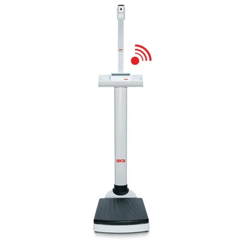 Seca 703 Column Scale – High-Capacity Mechanical Weighing System 1