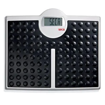 Seca 813 Digital Floor Scale – 200 Kg / 440 Lb High-Capacity Medical Weighing Platform 1