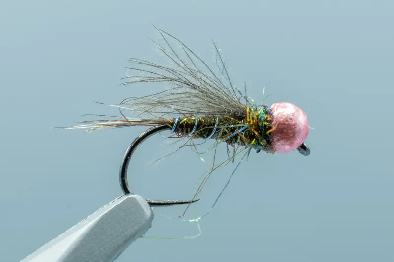 Weiss Track Suit Fly – Size 16 1